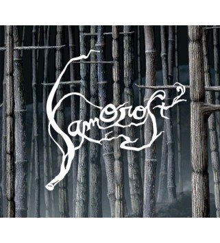 Samorost 2 valid until March 2027 Steam Key GLOBAL